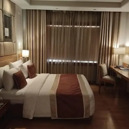 Hotel Royal Infinity Near Delhi Airport-3