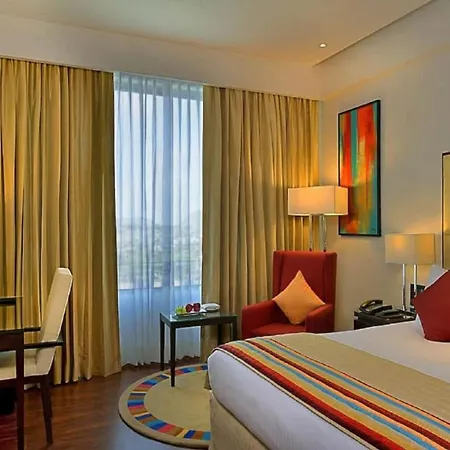 Hotel Royal Infinity Near Delhi Airport-2